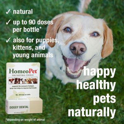 Doggy Dental Dog Supplement, 15mL bottle
