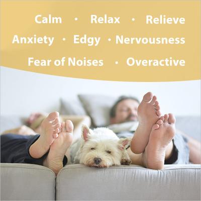 Mellow Out Calming Pet Supplement, 4-fl oz bottle