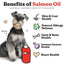 Salmon Oil Skin & Coat Health Liquid Cat & Dog Supplement, 8-fl oz bottle