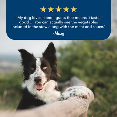 Blue's Stews Grain-Free Chicken & Beef Variety Pack Adult Wet Dog Food, 12.5-oz can, bundle of 24