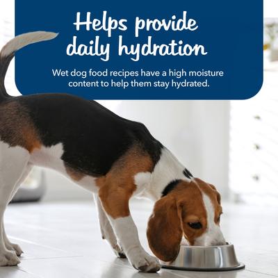 Blue's Stews Grain-Free Chicken & Beef Variety Pack Adult Wet Dog Food, 12.5-oz can, bundle of 24