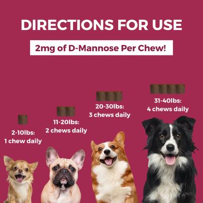 Progility Minis Urinary Support with D-Mannose Soft Chew Supplement for Dogs, 60 count
