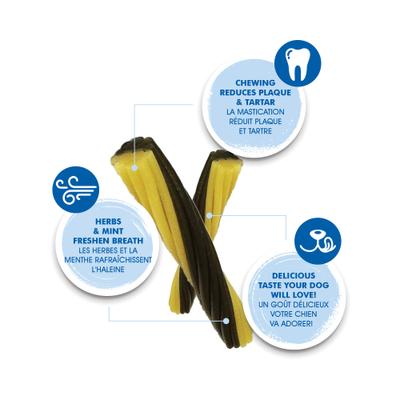 FLOSSta Dual Action Mint Flavor Dental Dog Chews, 8 count