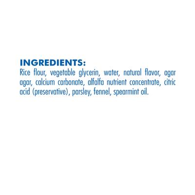 FLOSSta Dual Action Mint Flavor Dental Dog Chews, 8 count