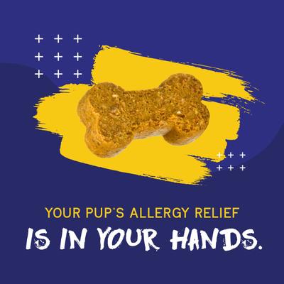 Itch & Allergy Supplement for Dogs, 60 count