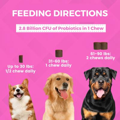 Progility Pre & Probiotics with Enzymes Soft Chew Supplement for Dogs, 90 count