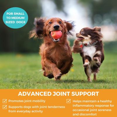 Progility Minis Hip & Joint with Glucosamine & Chondroitin Soft Chew Supplement for Dogs, 60 count