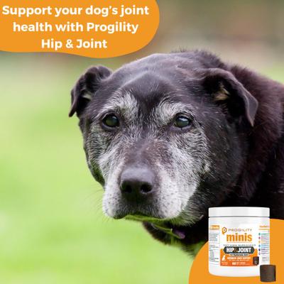 Progility Minis Hip & Joint with Glucosamine & Chondroitin Soft Chew Supplement for Dogs, 60 count