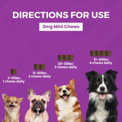 Progility Minis Calming Aid with Melatonin Soft Chew Supplement for Dogs, 60 count