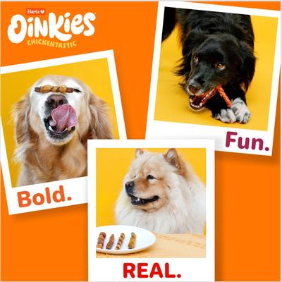Oinkies Tender Bullies Rawhide-Free Natural Chew Dog Treats, 20 count, bundle of 2
