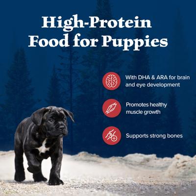 Wilderness Red Meat & Grains Rocky Mountain Recipe High-Protein Puppy Dry Dog Food, 4.5-lb bag