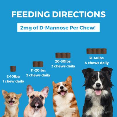 Progility Minis Skin & Coat with Krill Oil Soft Chew Supplement for Dogs, 60 count