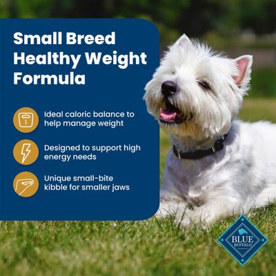 Life Protection Formula Small Breed Healthy Weight Adult Chicken & Brown Rice Recipe Dry Dog Food, 15-lb bag