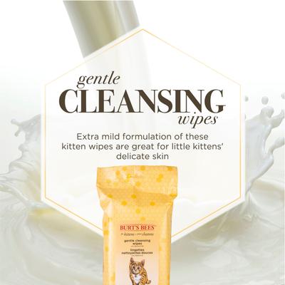 Kitten Wipes, 50 count