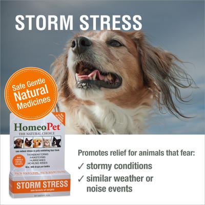 Storm Stress for Pets 20-80lbs, 450 drops