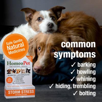 Storm Stress for Pets 20-80lbs, 450 drops