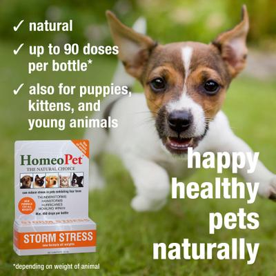 Storm Stress for Pets 20-80lbs, 450 drops