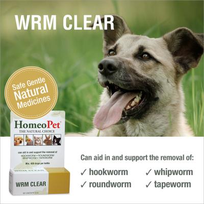 WRM Clear Dewormer for Hookworms, Roundworms, Tapeworms & Whipworms for Birds, Cats, Dogs & Small Pets, 450 drops