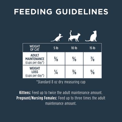 Raw Boost Indoor Real Rabbit Recipe Grain-Free Dry Cat Food, 4.5-lb bag