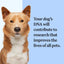 Breed Discovery Breed Identification DNA Test for Dogs