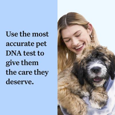 Wisdom Panel Breed Discovery Breed Identification DNA Test for Dogs