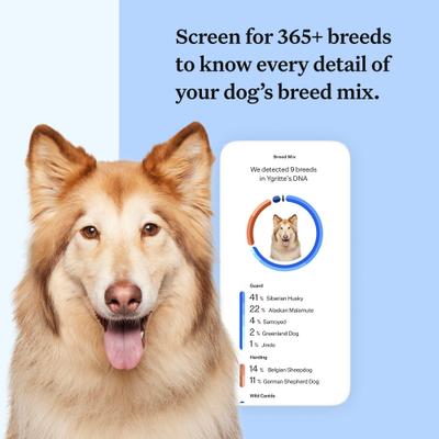 Wisdom Panel Breed Discovery Breed Identification DNA Test for Dogs