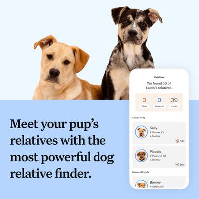 Breed Discovery Breed Identification DNA Test for Dogs