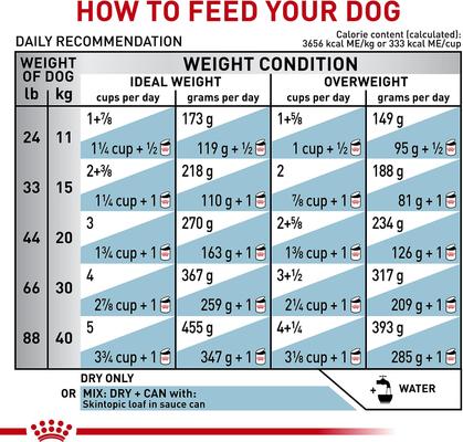 Skintopic Medium & Large Adult Dry Dog Food, 17.6-lb bag