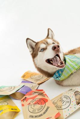 Strawberry Shortcake Crunchy Dog Treats, 4-oz bag