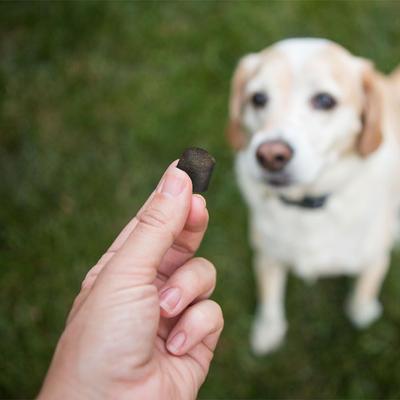 Triple Strength Soft Chew Joint Supplement for Dogs, 30 count