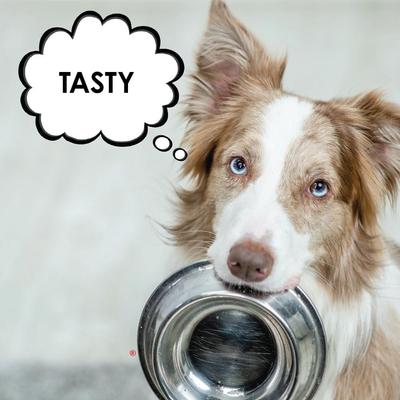 Triple Strength Granules for Dogs, 120 doses