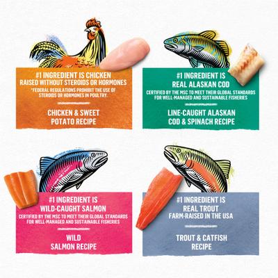 Grain-Free Pate 4 Flavors Variety Pack Canned Cat Food, 3-oz, case of 24