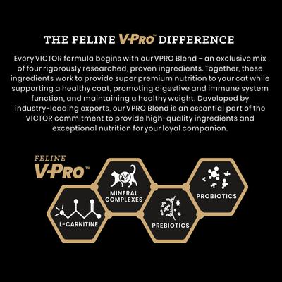 Grain-Free Fit Feline Indoor Chicken & Duck Meal Healthy Weight Dry Cat Food, 5-lb bag