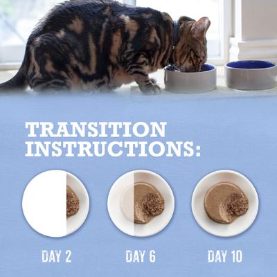 Grain-Free Trout & Catfish Pate Recipe Canned Cat Food, 3-oz, case of 12