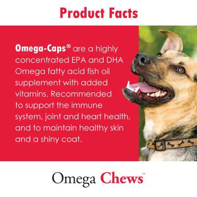 Omega Chews Medium & Large Breed Dog Supplement, 150 count