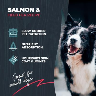 Adult Grain-Free Salmon & Field Pea Recipe Dry Dog Food, 4.5-lb bag