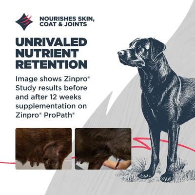 Adult Grain-Free Salmon & Field Pea Recipe Dry Dog Food, 4.5-lb bag