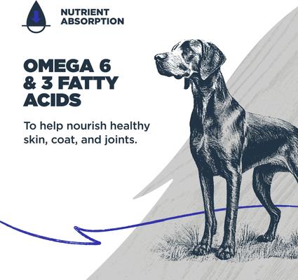 Adult Grain-Free Salmon & Field Pea Recipe Dry Dog Food, 4.5-lb bag