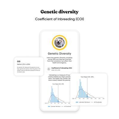 Embark Purebred Breed ID & Health Dog DNA Test Kit