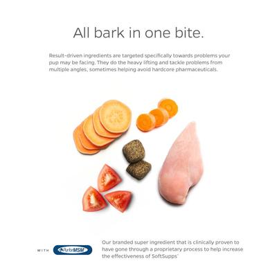 Multivitamin SoftSupps 5-in-1 Multi-Vitamin Dog Supplement, 90 count