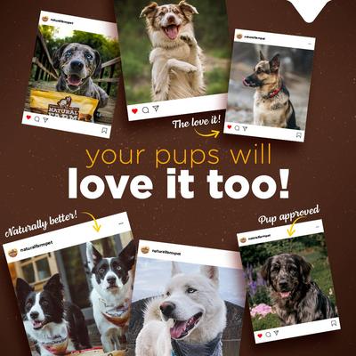 Himalayan Cheese Dog Treats, Large, 3-lb bag