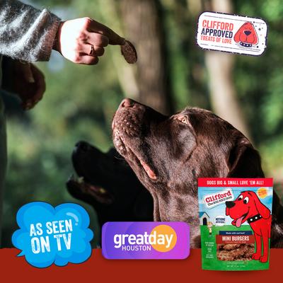 Mini Burgers Dog Treats, 6-oz bag