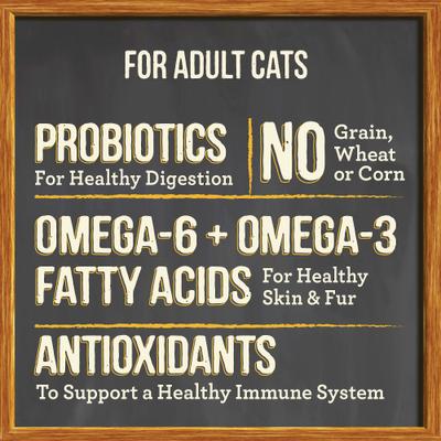 Purrfect Bistro Grain-Free Real Chicken + Sweet Potato Recipe Adult Dry Cat Food, 4-lb bag