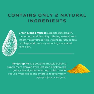 Canine Muscle & Joint Formula with Fortetropin & Green Lipped Mussel Supplement for Dogs, 6.9-oz tub