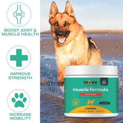 Canine Muscle & Joint Formula with Fortetropin & Green Lipped Mussel Supplement for Dogs, 6.9-oz tub