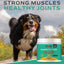 Canine Muscle & Joint Formula with Fortetropin & Green Lipped Mussel Supplement for Dogs, 6.9-oz tub