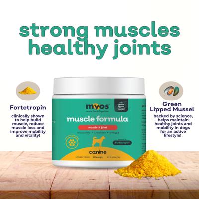 Canine Muscle & Joint Formula with Fortetropin & Green Lipped Mussel Supplement for Dogs, 6.9-oz tub
