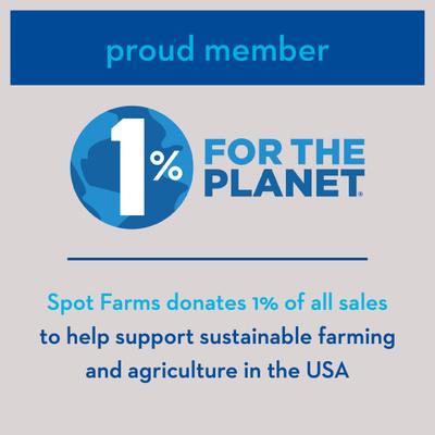 Premios básicos de carne de res en tiras para perros, bolsa de 10 oz