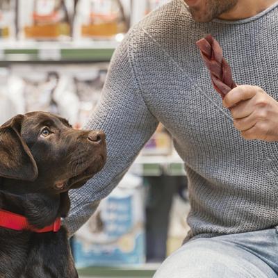 Long Lasting 6-inch Braided Beef Collagen Stick Dog Chews