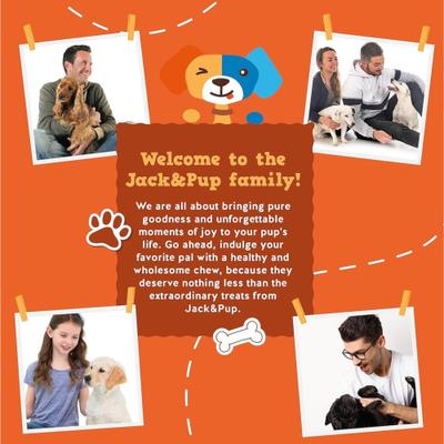 Long Lasting 6-inch Braided Beef Collagen Stick Dog Chews